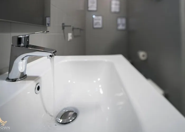 Mr Brown Aurelia Con Piscina * Rom